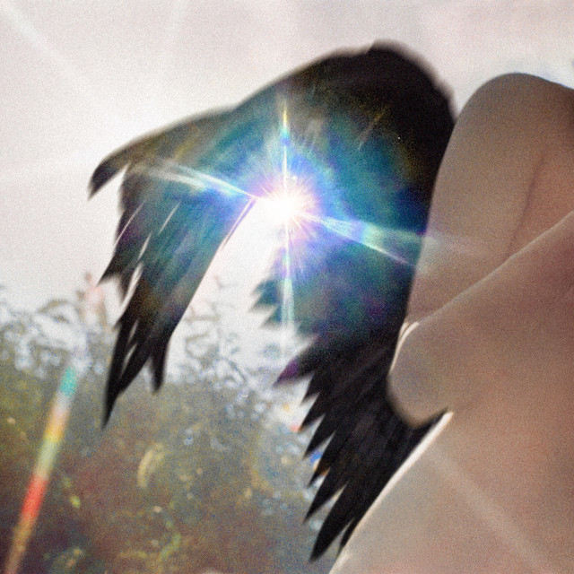 Image Cover